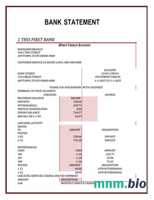 Nigeria pierwszy wyciąg z konta bankowego Word i szablon PDF, 2 strony
